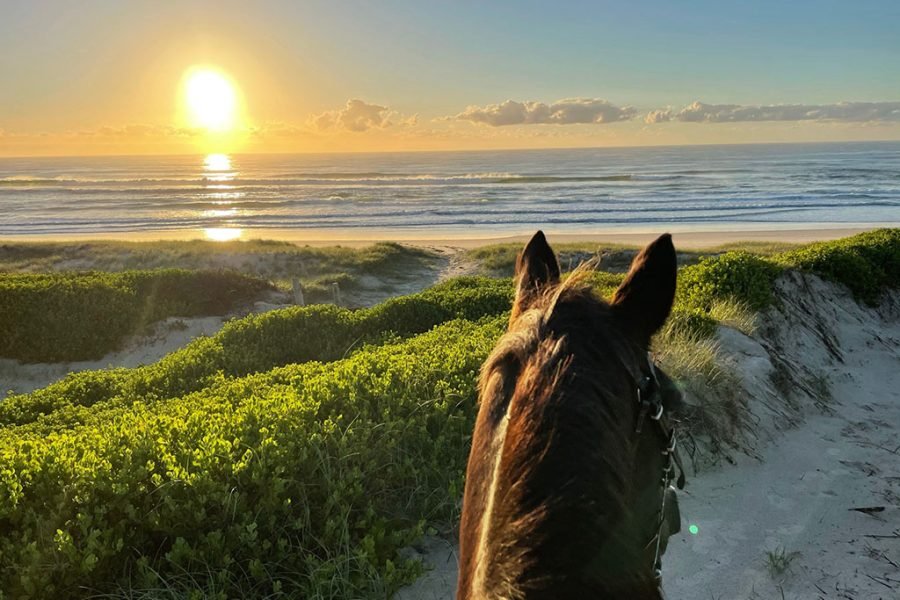 Horse Riding on the Beach