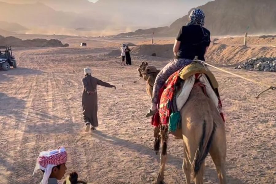 Safari ATV, Bedouin Tent with BBQ Dinner and Show