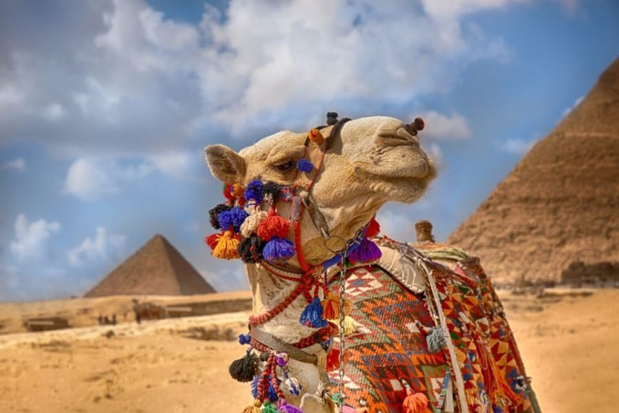 Cairo – Trip full day